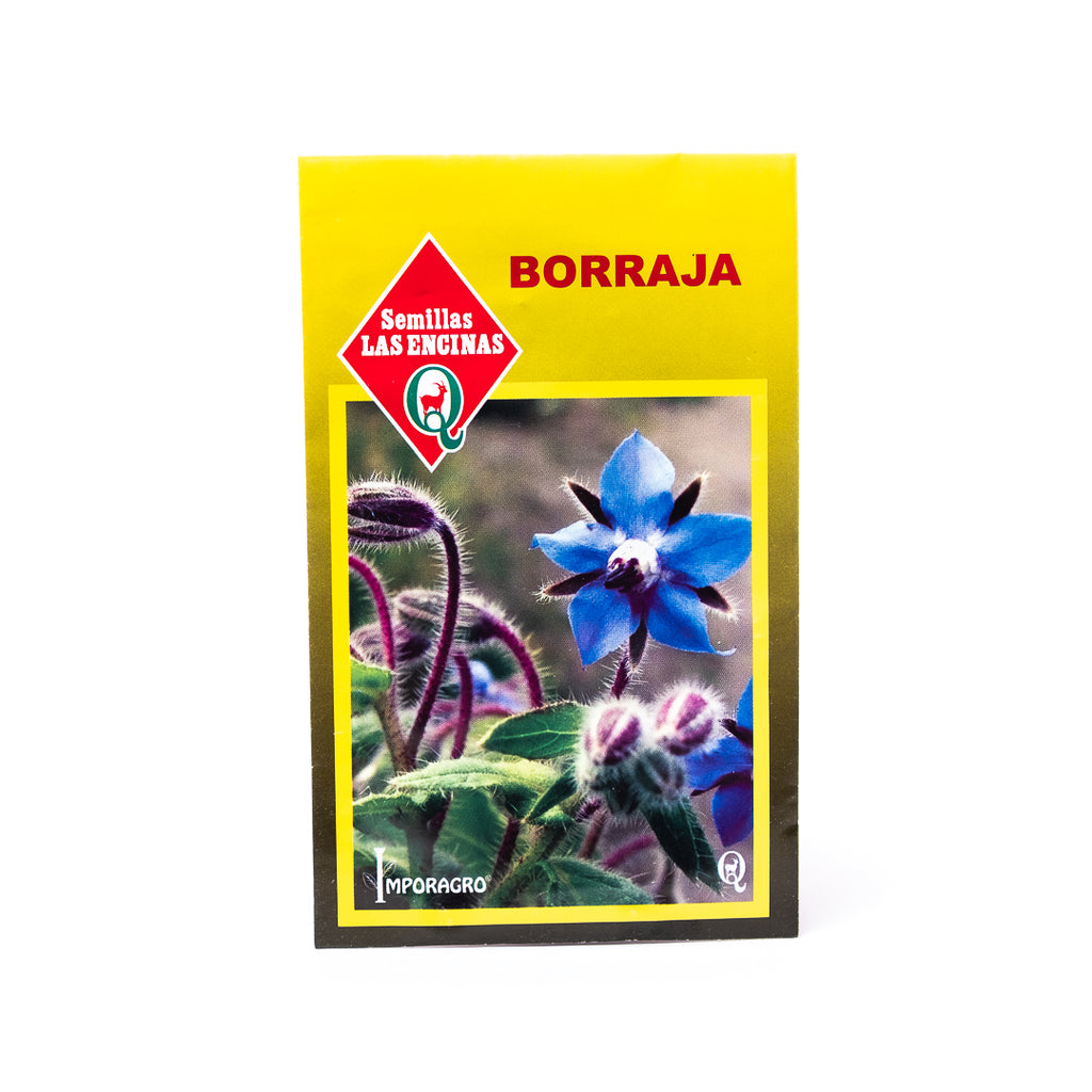 Semillas de Borraja