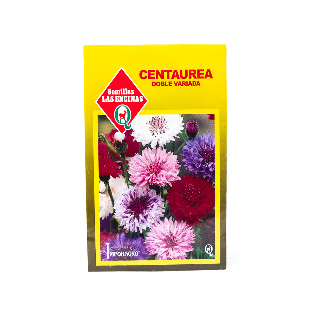 Semillas de Flores Centaurea