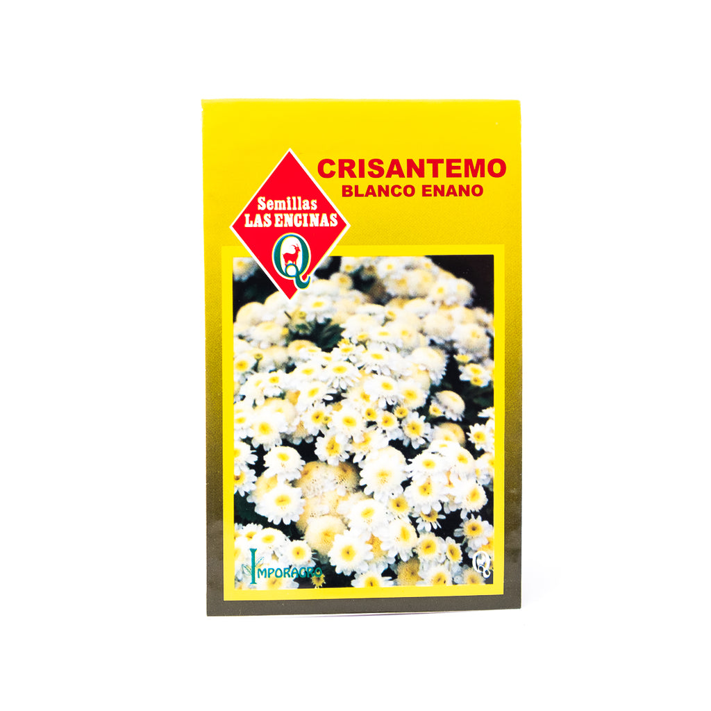 Semillas de Flores Crisantemo