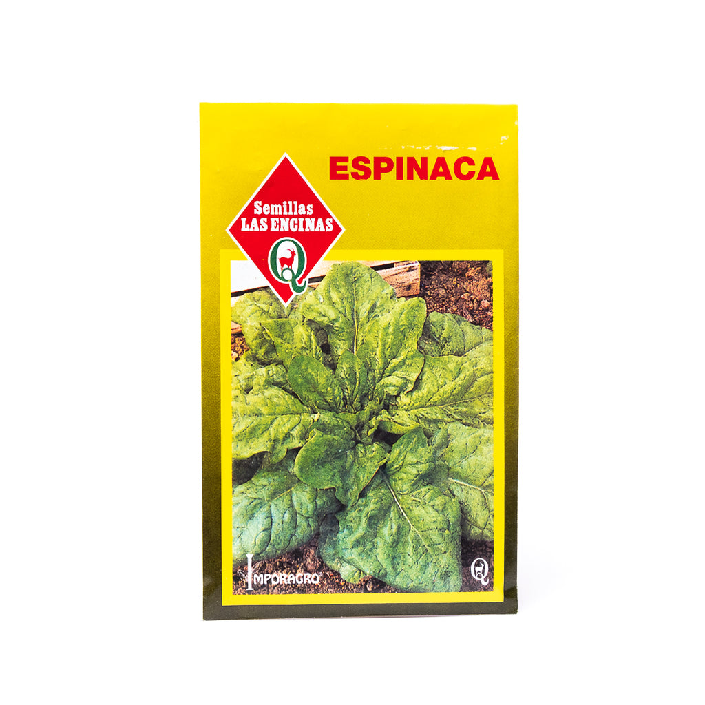 Semillas de Espinaca