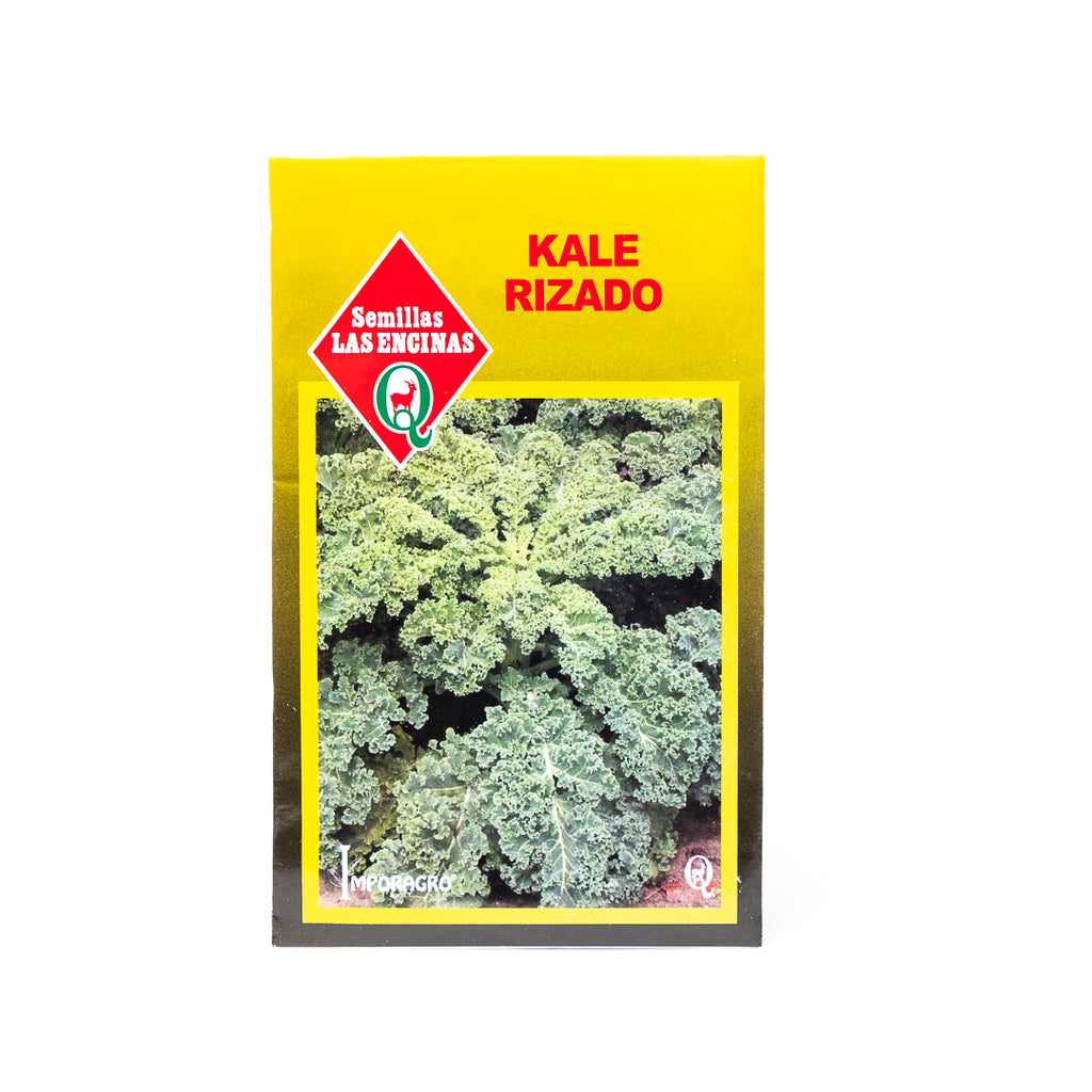 Semillas de Kale Rizado