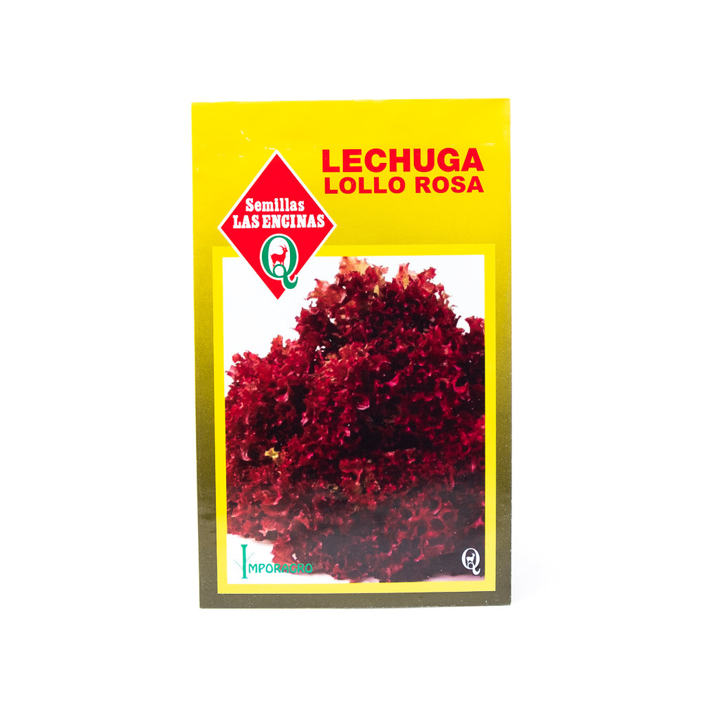 Semillas de Lechuga Lollo Rosa