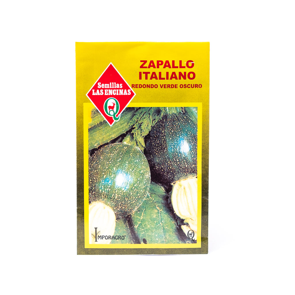 Semillas de Zapallo Italiano Redondo